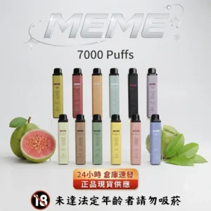 韓國爆款 MEME 7000口拋棄式電子煙|16款口味選擇·油電同顯·台灣現貨